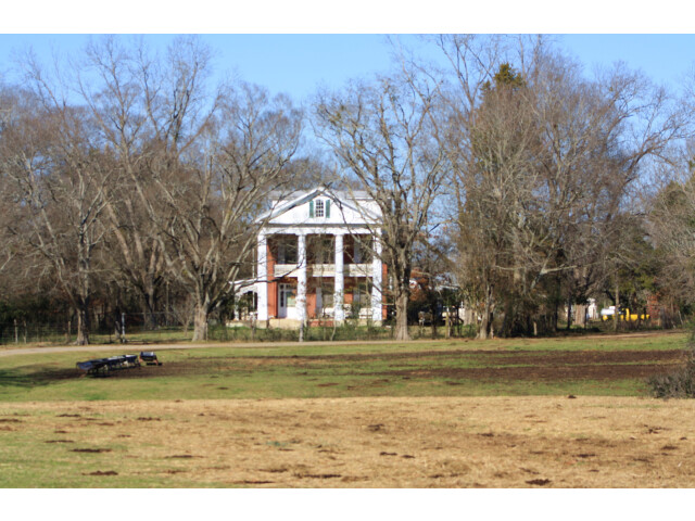 Hatch Plantation at Arcola 001 image