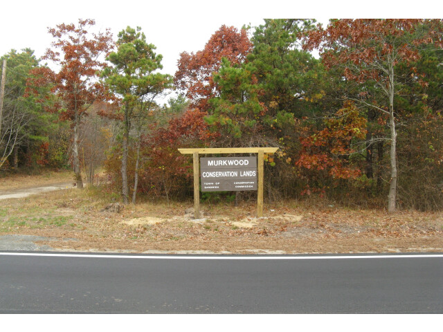 Murkwood Conservation Lands  East Sandwich MA