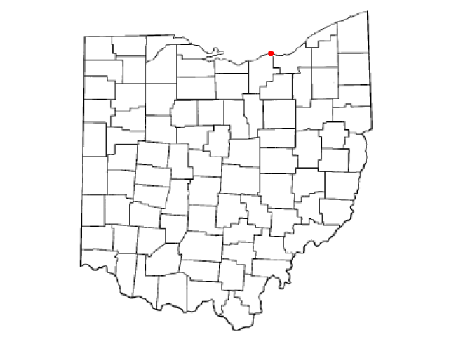 City of Avon Lake locator map