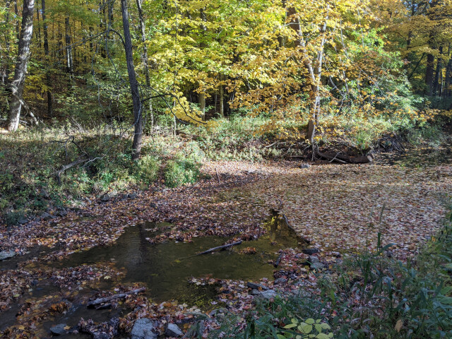 Garner%27s Creek in Don Fries