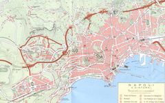 Naples City Map