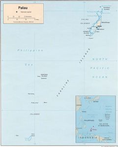 Palau (political)