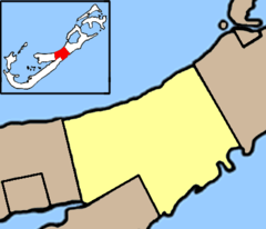 Bermuda Devonshire