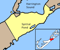 Bermuda Smiths
