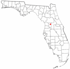 Flmap Doton Wildwood
