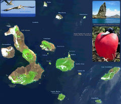 Galapagos Satellite Image
