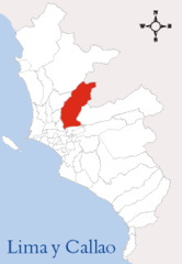 Lica Sanjuandelurigancho