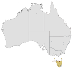 Location Map of Launceston