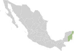 Mexico States Quintana Roo