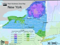 New York Plant Hardiness Zone Map