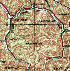 Panther Rosette Stream Pattern
