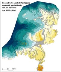 Plzondergeul Ex Leg Copy