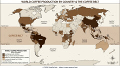 World Map: Coffee Production by Country & The Coffee Belt