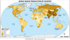 World Wheat Production Map: Leading Countries by Million Tonnes